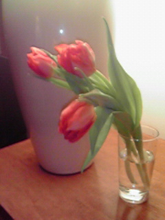 200802161326000.jpg