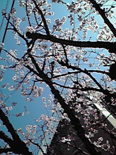 200803220934000.jpg