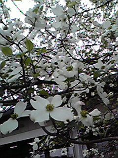 200804161649000.jpg