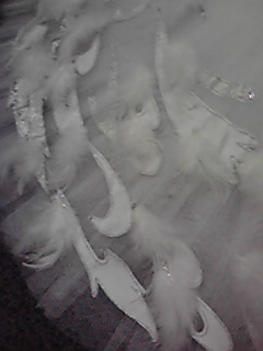 200806231730001.jpg