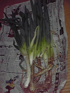 200809092142000.jpg